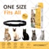 create amazon product packaging box design and label design