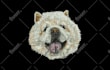 convert your pet picture or any image into embroidery file