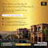 design professional facebook and instagram ad creatives
