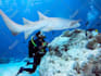 bring your underwater photos to life with vibrant edits