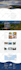 design redesign or clone website