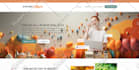 setup customize develop website using mylisting theme and listingpro