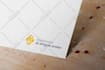 craft a professional brand identity guide