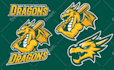design a professional sports or esports team logo