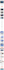 wix website redesign wix website design wix website redesign wix website design