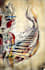 create exclusive abstract art and illustrations
