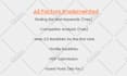 expert wordpress SEO and professional  onpage optimize with yoast