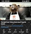 do viral fast youtube video promotion