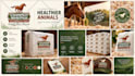 fix, edit, modify, recreate design, vectorize image or  logo to vector ai, eps