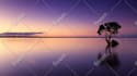 create a meditation youtube channel and videos