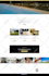 create a professional wordpress website with logo design