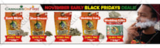 create newspaper ads, magazine ads, flyers