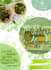 design birthday, business,grand opening and event flyer