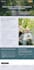 build squarespace website design squarespace website development squarespace