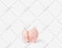 do clipping path for background remove with natural shadow