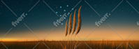 create collage, photo manipulation and other photoshop work
