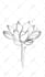 design a line art or minimalist tattoo illustration