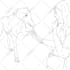draw custom animal portrait in one line style
