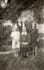 restore old photos professionally