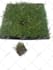 do any kind of photoshop image editing within 1 hours