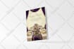 design attractive and fascinating greeting cards