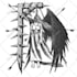 draw death or black metal frame dark horror creepy artwork