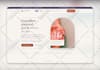 design and develop a professional wordpress website