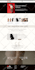 design, redesign, customize,revamp any wordpress website