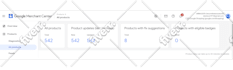 manage google search ads campaign