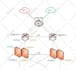 configure and troubleshoot juniper ,cisco,palo alto,fortinet,sophos firewall