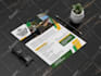 design business flyers, brochure, catalog, trifold