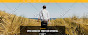 fix bugs,errors and  issues of php,mysql and HTML