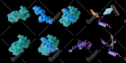 create your 3d medical anatomy scientific biomedical illustration or animation