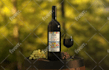 design a cool bottle, can, jar label design
