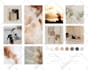 design a cohesive color palette and mood board