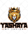 design custom professional tshirt designs for print or merch