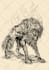 create a beautiful medieval illustration