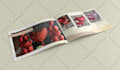 design premium catalog, brochure, product sheet, linesheet, sellsheet