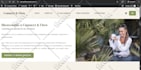 design a wordpress website with elementor