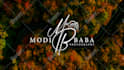 design photography signature or watermark logo