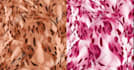 design luxury silk scarf, kaftan, tunic and coord set prints