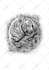 hand draw your amazing custom tattoo design