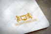 design logo for your website, company, business or brand