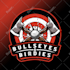 make illustration logo for esport team, youtuber, clan etc