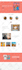 develop awesome shopify store, shopify designer