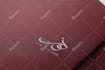 design creative arabic  logo in just 12 hours