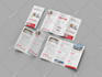 design a professional trifold brochure for your business