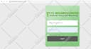 develop a custom professional wordpress plugin