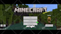 edit a professional minecraft video for you
