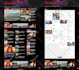 create wordpress autoblog or autopilot responsive website and fix the issues